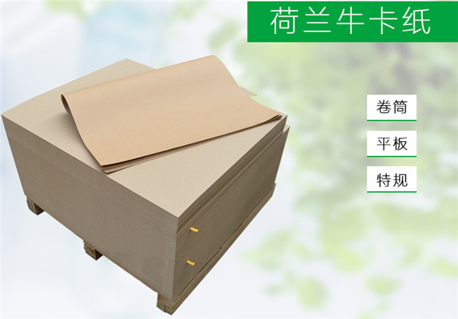 002荷蘭?？?jpg