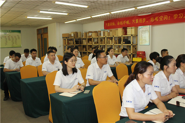 奮戰(zhàn)6月！伽立集團(tuán)銷售會(huì)順利召開